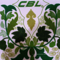 CBL-T620+H920 flat and chenille embroidery machine